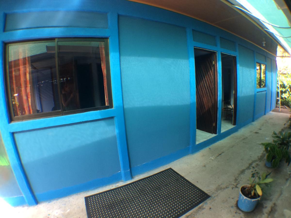 Green Macaw Hostel Tortuguero Exterior photo